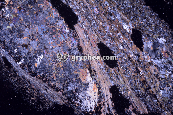 Micaschiste à sillimanite LPA x1,7 - gryphea.com